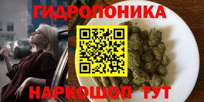 бошки Донской