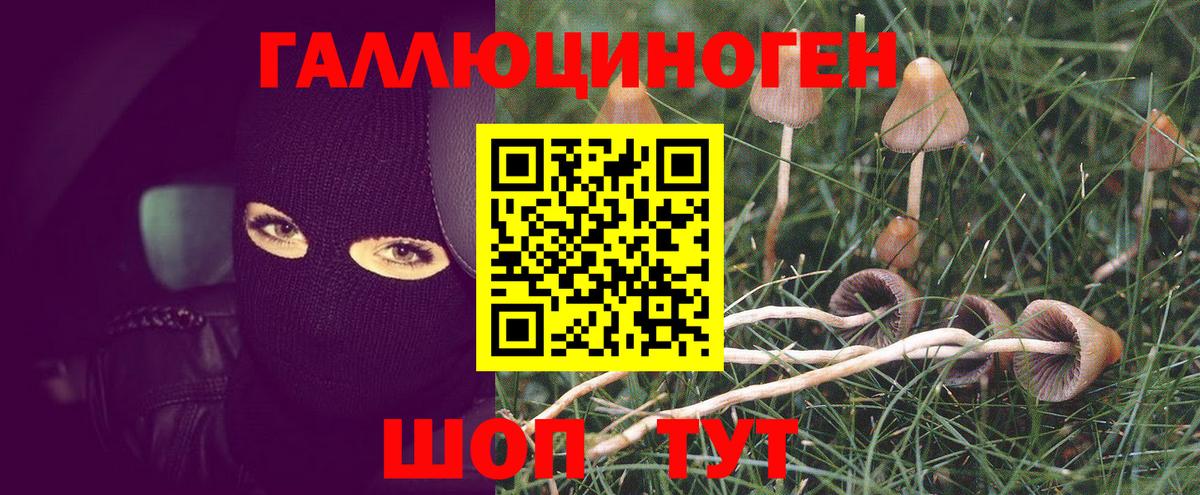 Мурманск  Галлюциногенные грибы Magic Shrooms  Галлюциногенные грибы ЛСД  Вход с VPN 