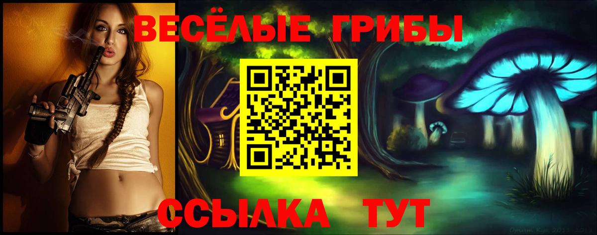 Галлюциногенные грибы Psilocybe Мурманск
